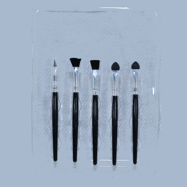 Small size 5 Makeup Brushes Kit